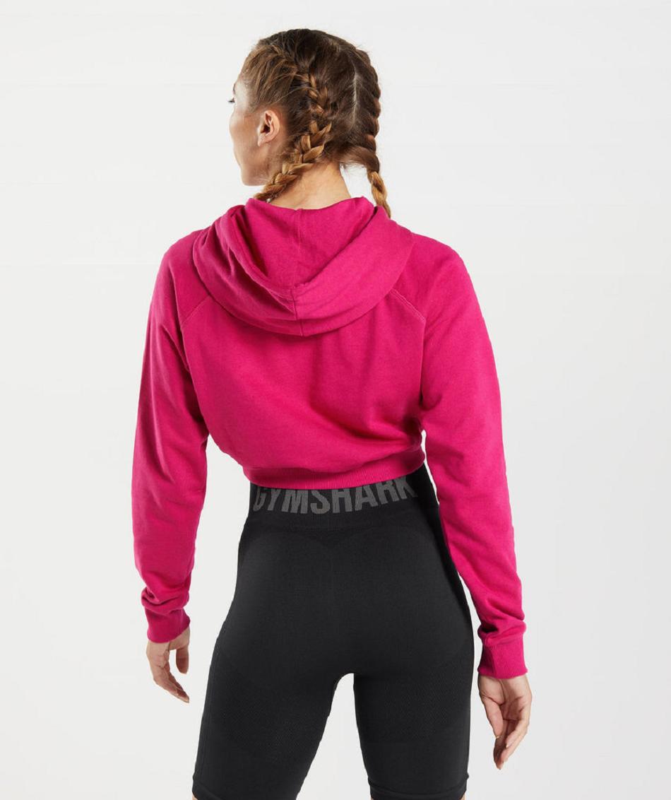 Sudadera Con Capucha Gymshark Entrenamiento Cropped Mujer Rosas | CO 2016PJJ